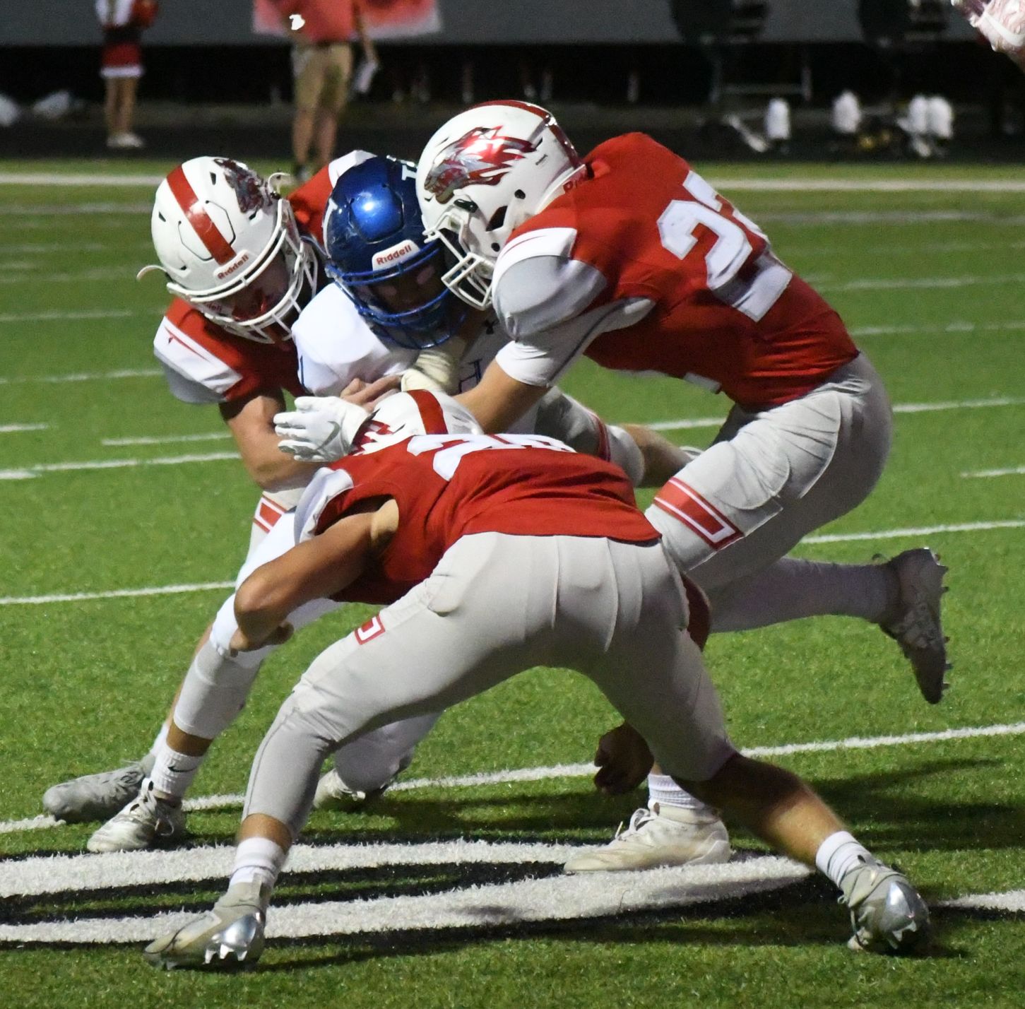 Reeds Spring Hollister